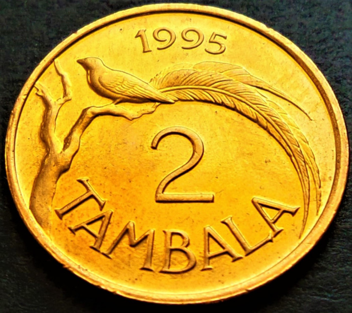 Moneda exotica 2 TAMBALA - Republica MALAWI, anul 1995 * cod 5077 B = UNC