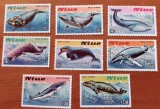 NIUE-&#039;&#039;FAUNA MARINA-&#039;&#039;BALENE&#039;&#039; SET COMPLETA= 8VAL MNH-NESTAMP--Calitate EXTRA, Nestampilat