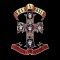 Guns N Roses Appetite For Destruction Edited Version reissue (cd)