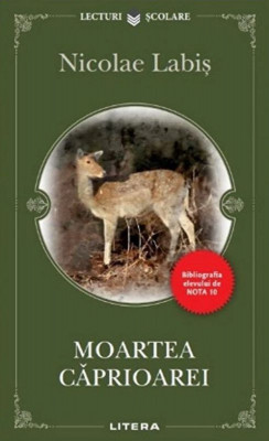 Moartea caprioarei &amp;ndash; Nicolae Labis foto