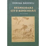 STANICIOARA CAT O BANICIOARA-DORINA BADESCU-236814