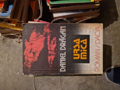 Ursa mica vintage foto