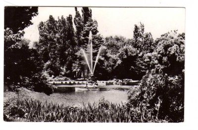 BUCURESTI GRADINA CISMIGIU FANTANA ARTIZIANA RPR foto