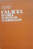 CALAUZA IN LUMEA PLANTELOR SI ANIMALELOR - CONSTANTIN PARVU, STOICA GODEANU