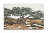 Mauro Ferretti Pictura Pe Panza, Maslin, -B- Cm 120X3,8X78 | Aosom Romania