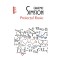Proiectul Rosie - Graeme Simsion