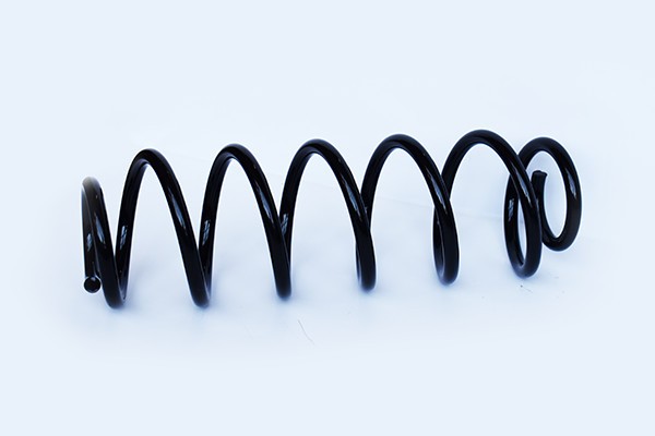 Arc Suspensie Spate 65905 SR.055