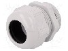 Presetupa poliamida, PG36, IP68, {{Seria producatorului}}, LAPP - 53018070 -AS
