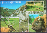 AMS - ILUSTRATA 170 TARA HATEGULUI 1976 RSR, CIRCULATA, Printata