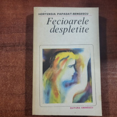 Fecioarele despletite de Hortensia Papadat- Bengescu
