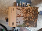 Ana Blandiana Poezii vintage