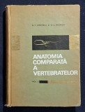 Anatomia comparata a vertebratelor - volumul 1