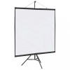 VidaXL Ecran de proiecție cu trepied 67 inch 1:1