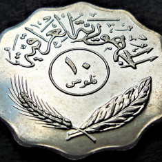 Moneda exotica 10 FILS - IRAK, anul 1981 * cod 2377 B = UNC