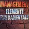 Ion Stancioiu - Management - Elemente fundamentale (semnata) (Editia: 1998)