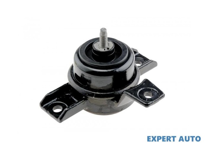 Tampon motor Hyundai ix55 (2008-&gt;) #1