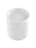 Creed, Silver Mountain Water, Proaspăt, Lum&acirc;nare parfumată, 220 g *Tester
