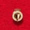 Insigna cu talpa - fotbal - FC BURGOS (Spania)