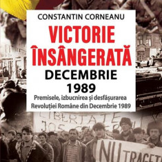 Victorie însângerată. Decembrie 1989 - Paperback brosat - Constantin Corneanu - Cetatea de Scaun