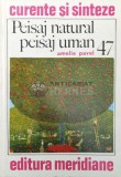 Cumpara ieftin Peisaj natural peisaj uman - Amelia Pavel (Y48)