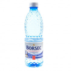 Bax 12 Buc Apa Plata Borsec, 0.5 L, Pet, Apa Plata, Apa Borsec, Apa Minerala Plata, Bax de Apa Plata, Bax Apa Borsec, Apa Borsec Sticla, Apa 500 ml, B