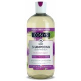 Sampon BIO ingrijire par gras, cu extract de jujube si brusture(format mare) Coslys