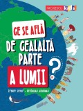 Ce se află de cealaltă parte a lumii - Paperback brosat - Niculescu