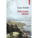 Zilele noastre marunte, Cezar Amariei, Polirom