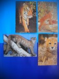 HOPCT LOT NR 442 FELINE -FAUNA -4 CARTI POSTALE-NECIRCULATE
