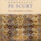 Nicolae Turcan - Filosofia rom&acirc;nească pe scurt. De la Maiorescu la Noica. Note de curs