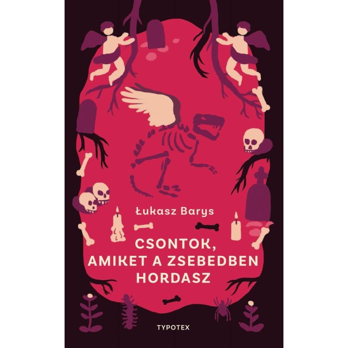 Csontok, amiket a zsebedben hordasz - Łukasz Barys