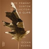 Pe pamant suntem stralucitori o clipa - Ocean Vuong