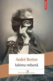 Iubirea nebună - Paperback brosat - Andr&eacute; Breton - Polirom