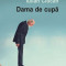 Dama de cupă - Paperback brosat - Iulian Ciocan - Polirom