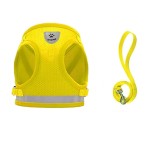 Set de ham si lesa pentru pisica Supet, poliester, galben/argintiu, marimea L