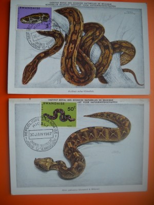 HOPCT MAXIMA NR 1052 SET 2 MAXIME RHODESIA SERPI 967 -AFRICA-FAUNA foto