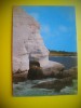 HOPCT 6043 PICIORUL DE ELEFANT-STANCILE ROSH HANIKRA -ISRAEL-ASIA -NECIRCULATA, Printata