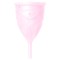 Cupe menstruale - Femintimate EVE Cupa Menstruala - marime Mare