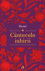 Cantecele iubirii. Rumi - Shahram Shiva foto