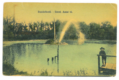 4833 - BUZIAS, Timis, Romania - old postcard - used - 1914 foto