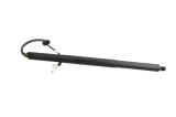 Amortizor haion st&acirc;nga TESLA MODEL Y 2023 OEM: 1500601-00-A 22584456