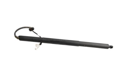Amortizor haion st&amp;acirc;nga TESLA MODEL Y 2023 OEM: 1500601-00-A 22584456 foto