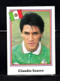 B10 - Sticker fotbal - Campionatul mondial USA - 1994 - nr 343