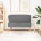 vidaXL Canapea din material textil 117 x 55,5 x 77 cm, gri deschis 244070