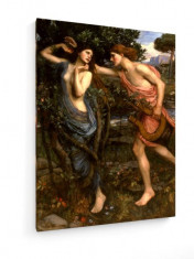 Tablou pe panza (canvas) - John William Waterhouse - Apollo and Daphne - Painting, 1908 foto