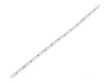Bandă LED Alb Cald 24V 120 LED/m IP20