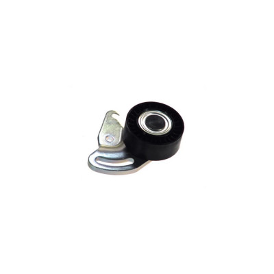 Intinzator curea RENAULT CLIO II BB0 1 2 CB0 1 2 DAYCO APV2075 foto