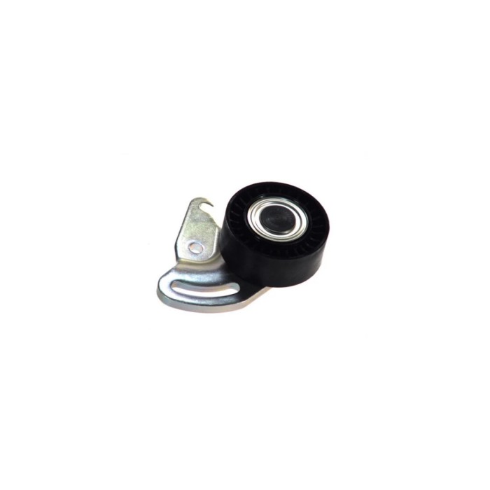 Intinzator curea RENAULT MEGANE II BM0 1 CM0 1 DAYCO APV2075