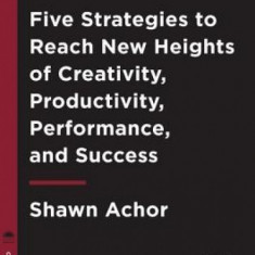 Big Potential: Five Strategies to Reach New Heights of Creativity, Productivity, Performance, and Success