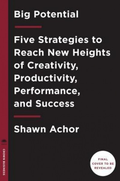 Big Potential: Five Strategies to Reach New Heights of Creativity, Productivity, Performance, and Success